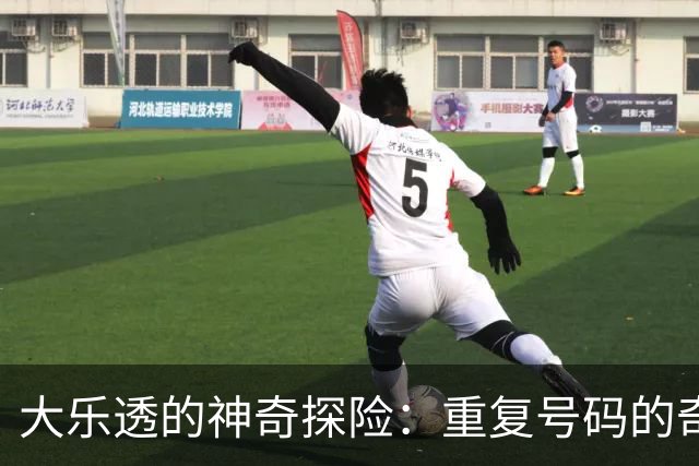 大乐透的神奇探险：重复号码的奇妙首秀